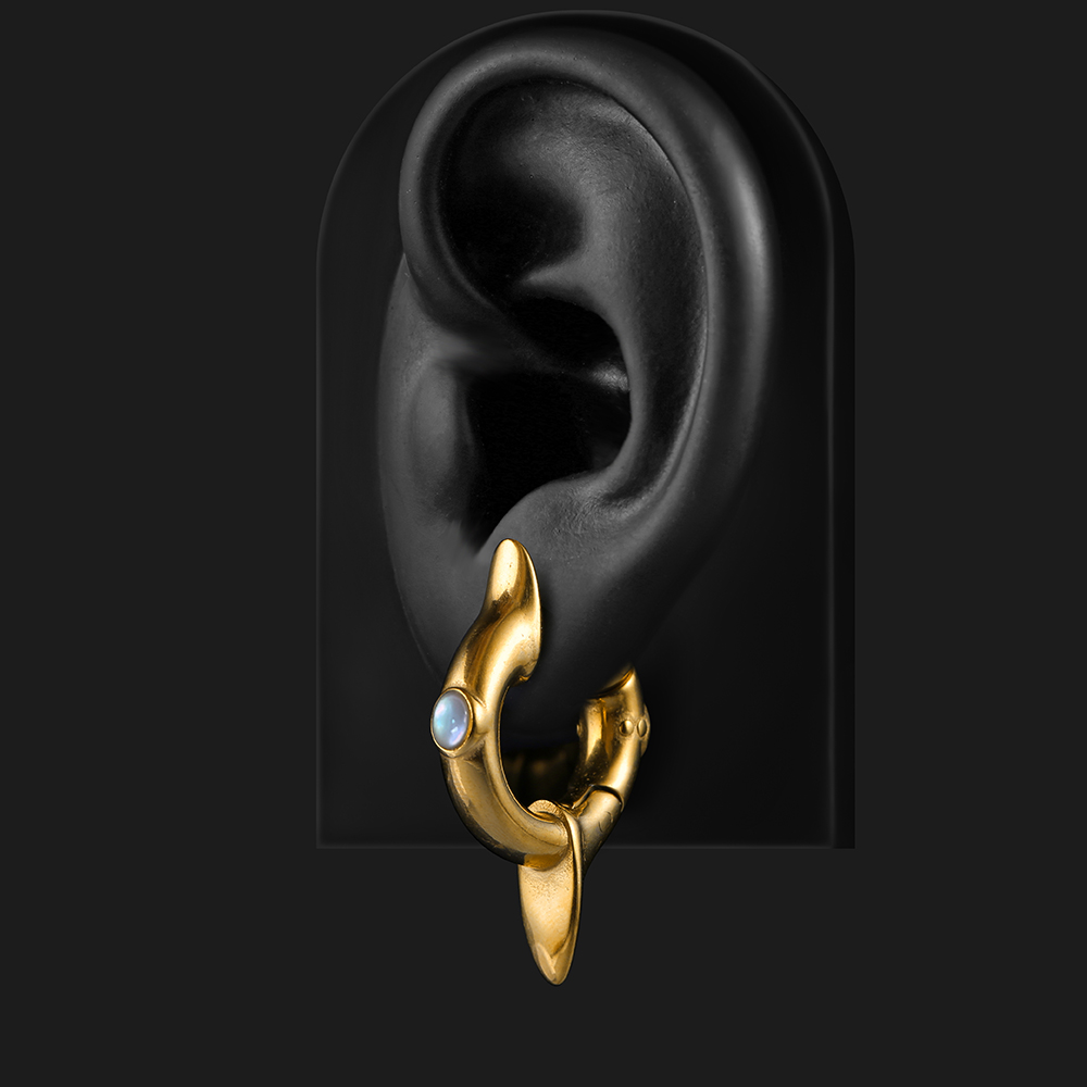 Earblity 2PCS Ear Weights 316L - Body Jewelry Hangers 评论和价格