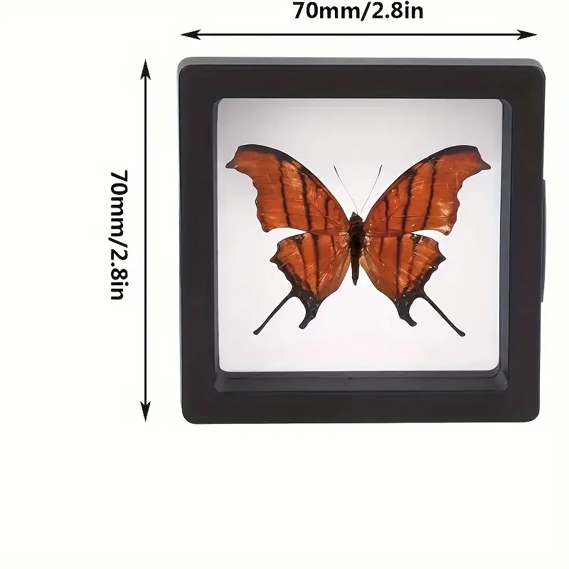 20Pcs Clearview 3D Floating Di - Body Jewelry Organizer 评论和价格